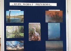 Zdjęcie z galerii: 049_2016 Święto Ryby i Wody