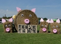 Zdjęcie z galerii: 061_2016 Dożynki Gminne 2016
