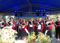 Zdjęcie z galerii: Dożynki Gminne Stara Łubianka 31.08.2019 r.