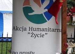 Zdjęcie z galerii: Magia Świąt w Szydłowie
