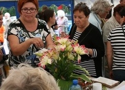 Zdjęcie z galerii: 46_2015 II Święto Ryby i Wody