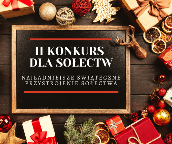 Ilustracja do artykułu: II Konkurs dla sołectw 'Najładniejsze Świąteczne Przystrojenie Sołectwa'